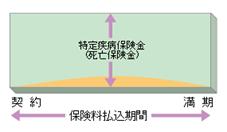 (特定疾病保障定期保険の例)