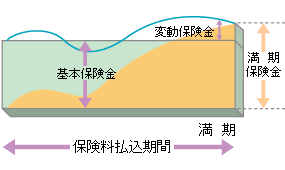  (1) ɖی{یꍇ