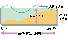  (2) ɖی{یꍇ